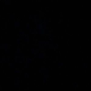 Meet your Posher, Kyleigh